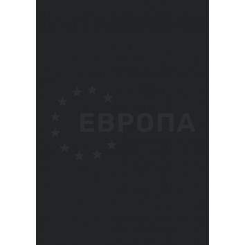ЛДСП BYSPAN 2800х2070 мм t=16 мм № 698 Черный сатин  РО